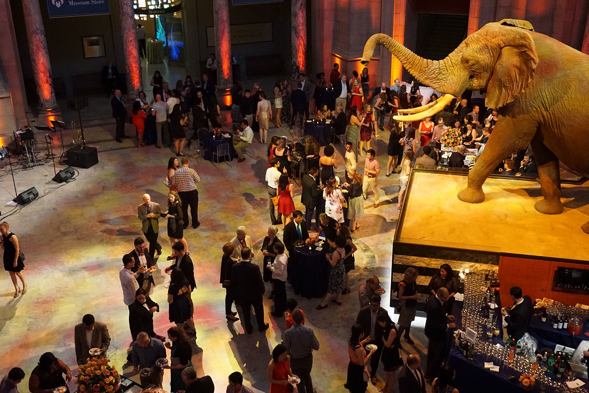 Corporate Catering at the Natural History Museum